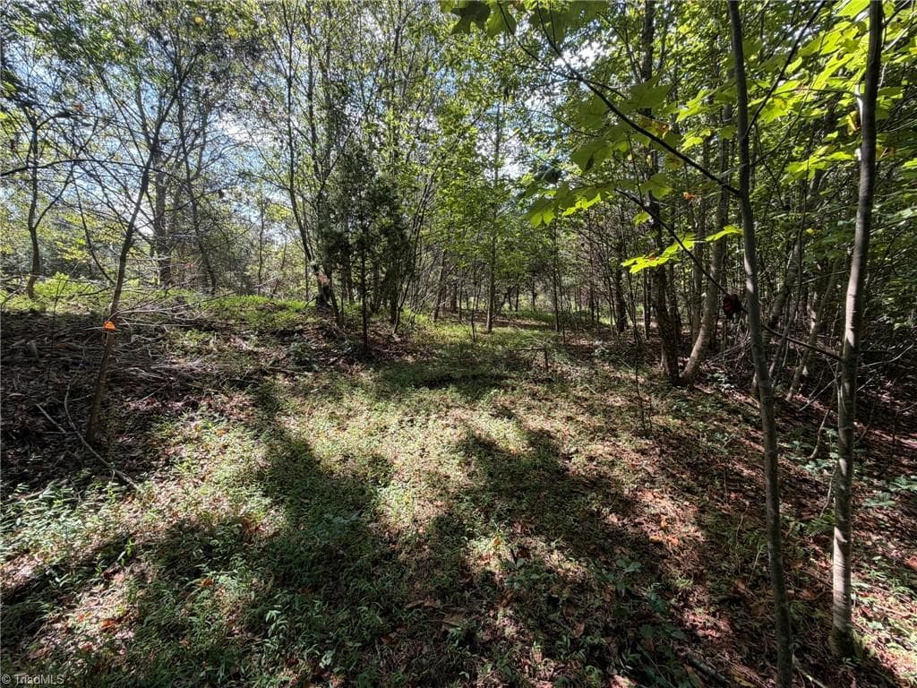 Unimproved Land at 000 Friendly Grove Church Road, Millers Creek NC 28651, Millers Creek, photo 35 of 84