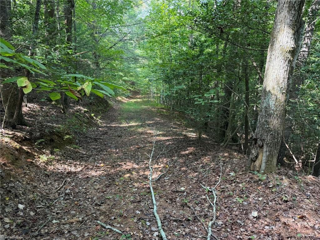 Unimproved Land at 000 Friendly Grove Church Road, Millers Creek NC 28651, Millers Creek, photo 29 of 84