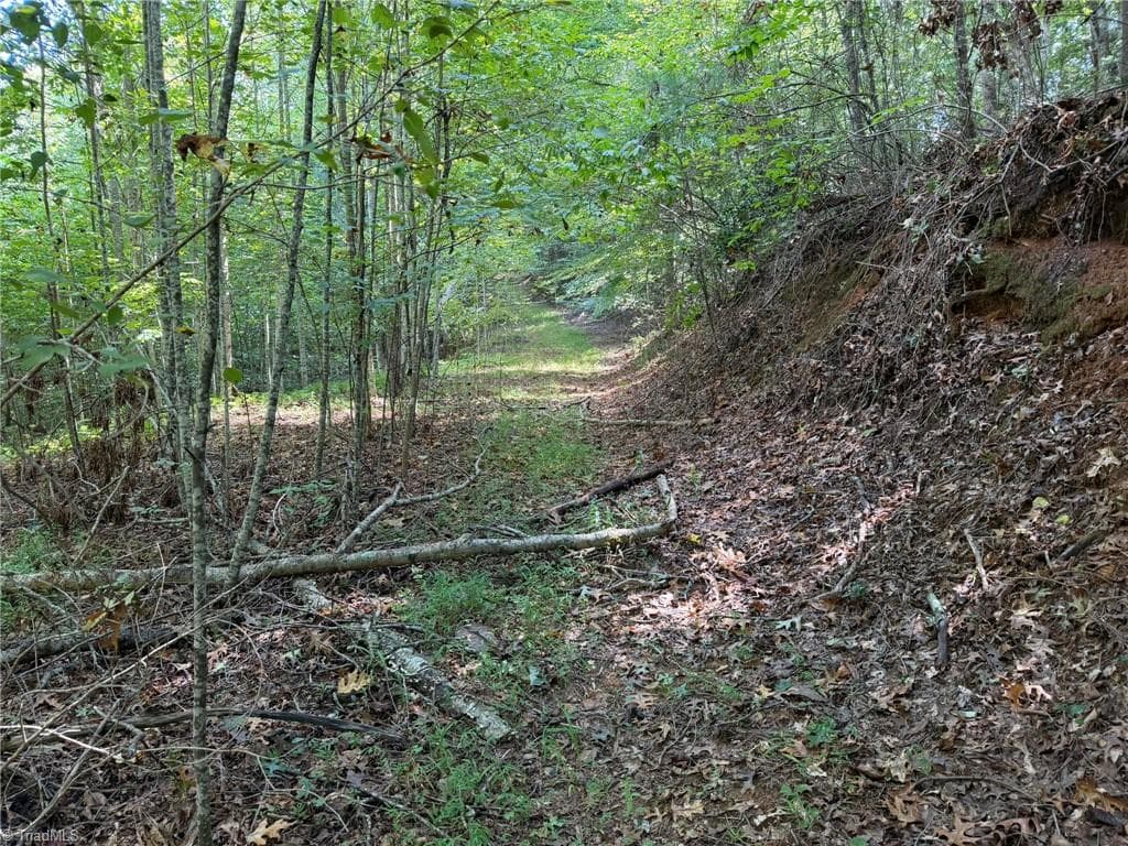 Unimproved Land at 000 Friendly Grove Church Road, Millers Creek NC 28651, Millers Creek, photo 21 of 84