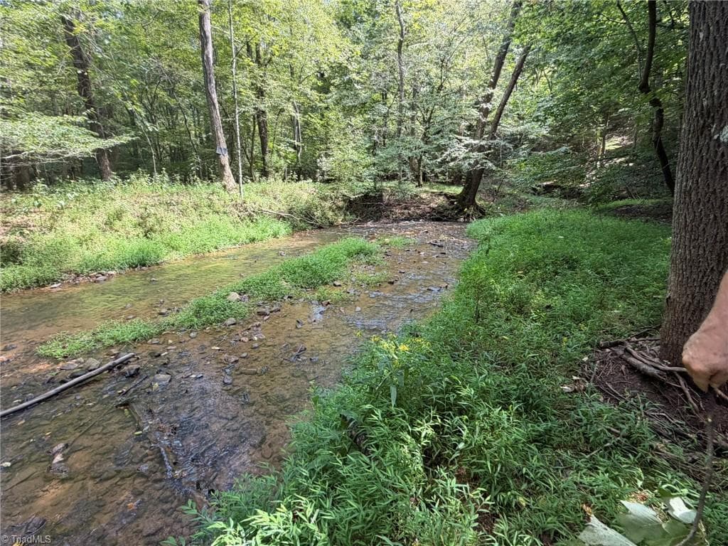 Unimproved Land at 000 Friendly Grove Church Road, Millers Creek NC 28651, Millers Creek, photo 69 of 84