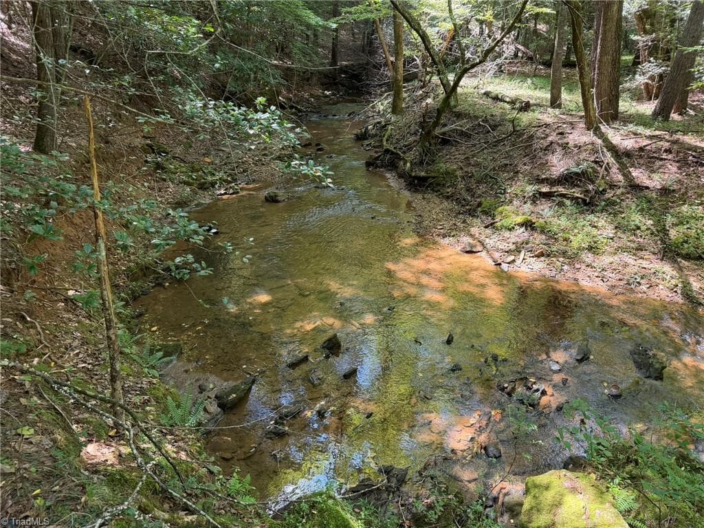 Unimproved Land at 000 Friendly Grove Church Road, Millers Creek NC 28651, Millers Creek, photo 57 of 84