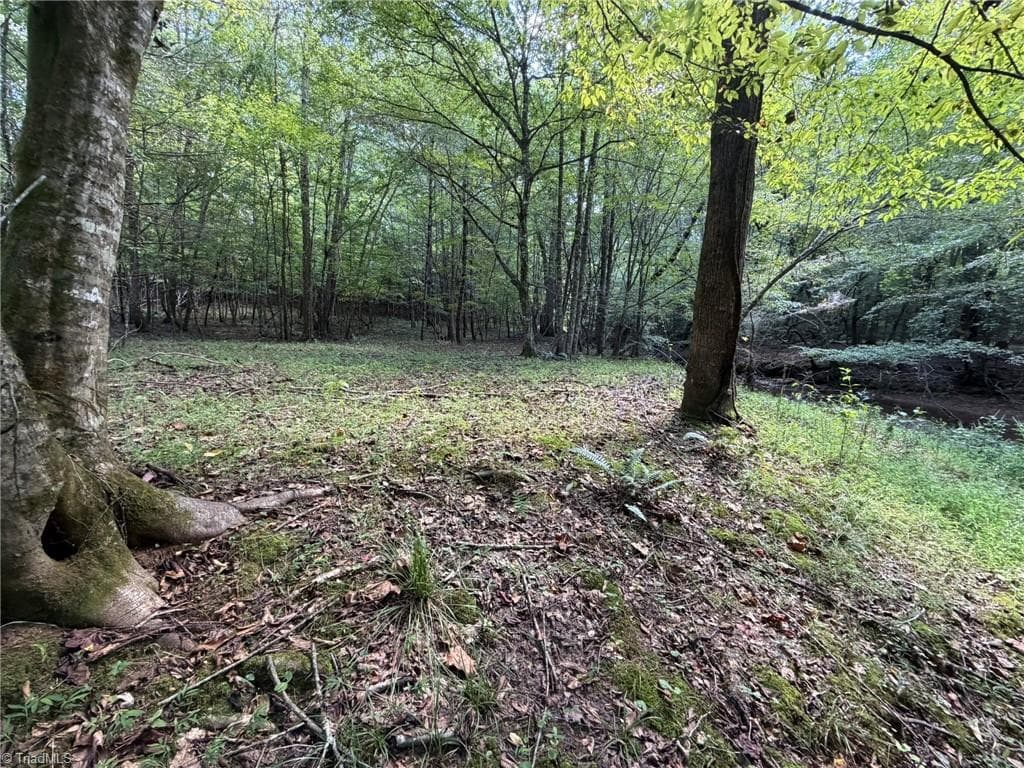 Unimproved Land at 000 Friendly Grove Church Road, Millers Creek NC 28651, Millers Creek, photo 49 of 84
