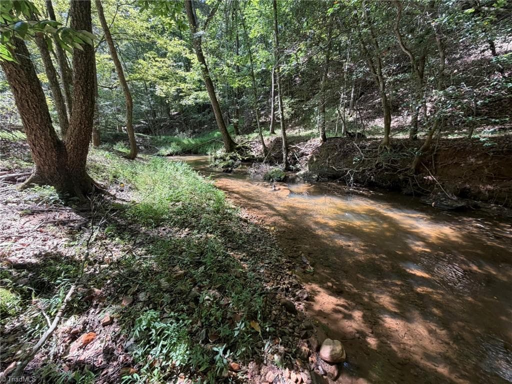 Unimproved Land at 000 Friendly Grove Church Road, Millers Creek NC 28651, Millers Creek, photo 41 of 84