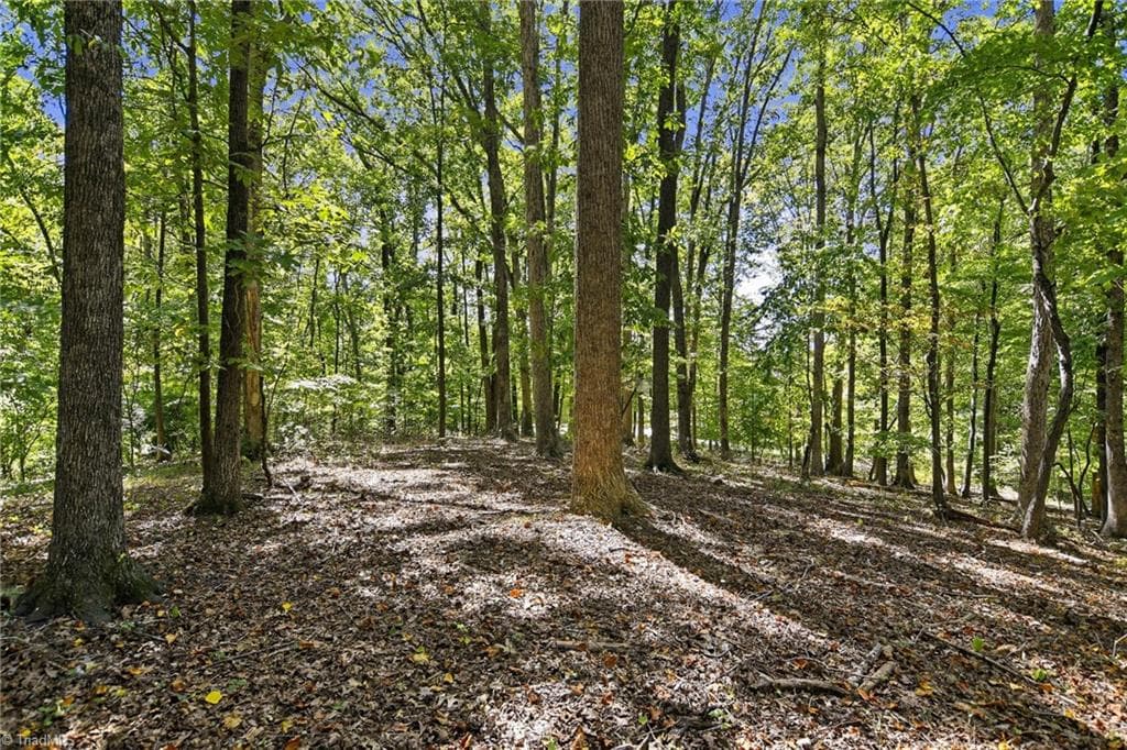 Photo of adjacent buildable lot home site, available for purchase - 3925 Thorndale Drive, Winston-Salem NC 27106, Winston-Salem