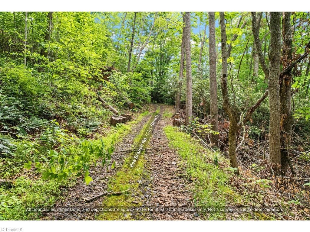 Single Family Residence at 99999 Bee Branch Road, Bakersville NC 28705, Bakersville, photo 11 of 42