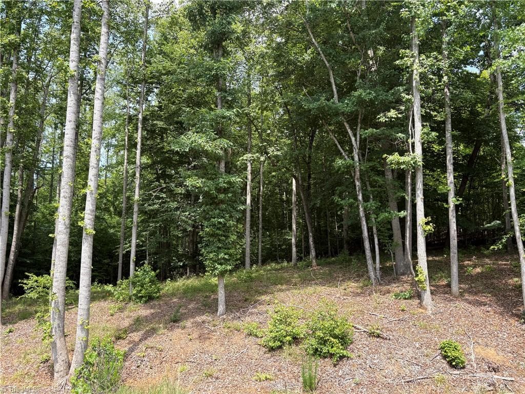 Wooded area to Right - 6455 Reubens Ridge Drive, Winston-Salem NC 27105, Winston-Salem