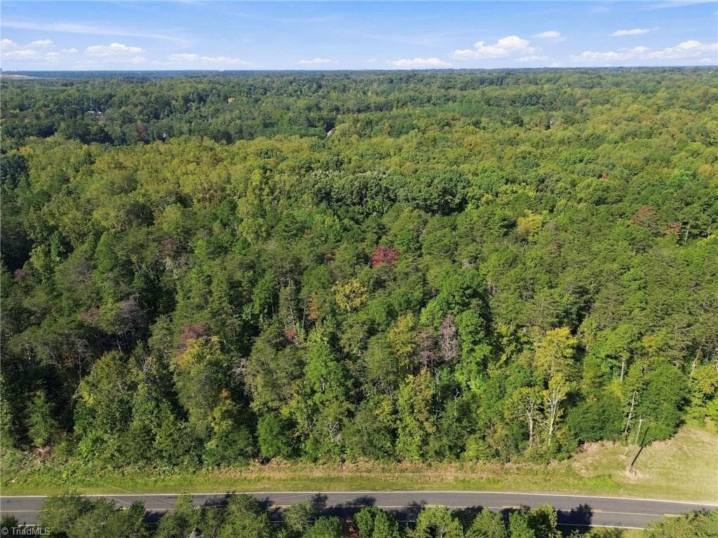 Unimproved Land at 4589 Dicks Mill Road, McLeansville NC 27301, McLeansville, photo 6 of 15