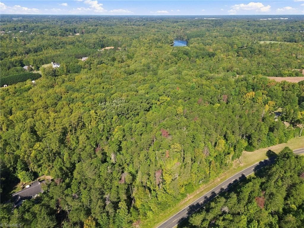 Unimproved Land at 4589 Dicks Mill Road, McLeansville NC 27301, McLeansville, photo 13 of 15