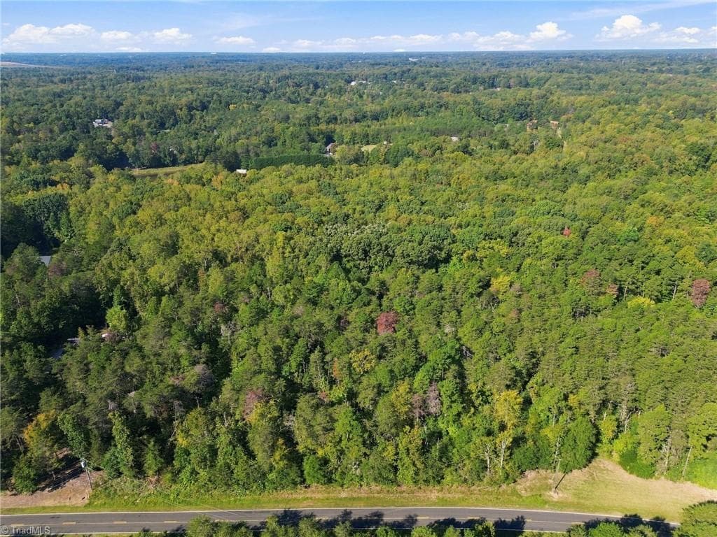 Unimproved Land at 4589 Dicks Mill Road, McLeansville NC 27301, McLeansville, photo 7 of 15
