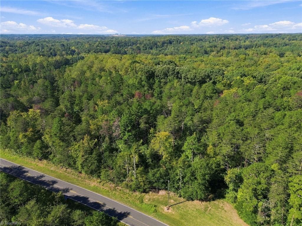 Unimproved Land at 4589 Dicks Mill Road, McLeansville NC 27301, McLeansville, photo 5 of 15