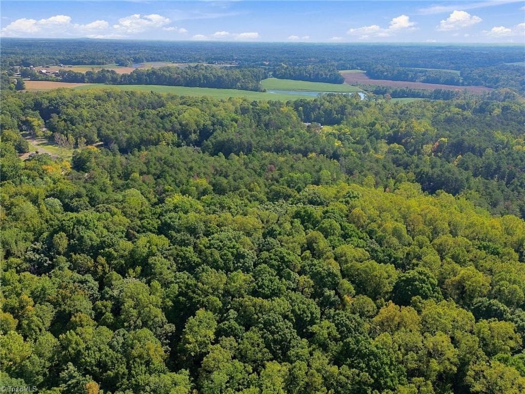 Unimproved Land at 4589 Dicks Mill Road, McLeansville NC 27301, McLeansville, photo 10 of 15