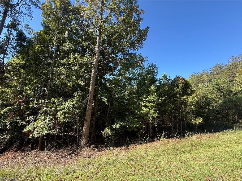 0 Cedar Forest Road, Franklinville NC 27248