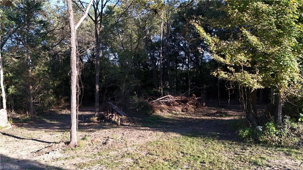 Single Family Residence at 00 W Virginia Street, Mount Airy NC 27030, Mount Airy, photo 3 of 14