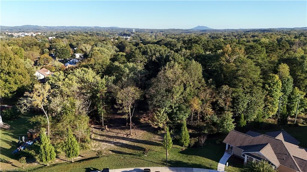 Single Family Residence at 00 W Virginia Street, Mount Airy NC 27030, Mount Airy, photo 9 of 14