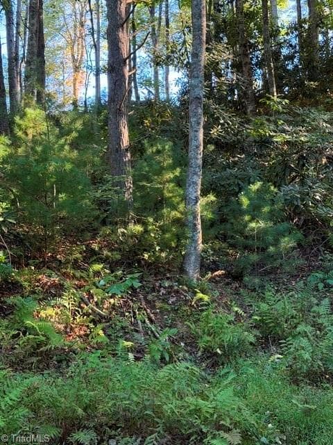 Unimproved Land at TBD Fishers Peak View, Ennice NC 28623, photo 6 of 25