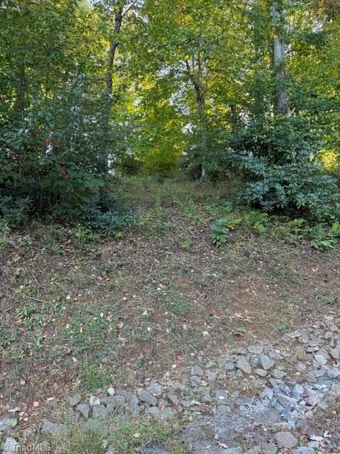 Unimproved Land at TBD Fishers Peak View, Ennice NC 28623, photo 17 of 25