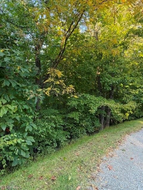 Unimproved Land at TBD Fishers Peak View, Ennice NC 28623, photo 16 of 25