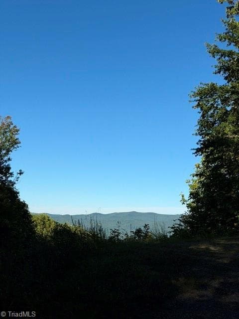 Unimproved Land at TBD Fishers Peak View, Ennice NC 28623, photo 5 of 25