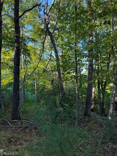 Unimproved Land at TBD Fishers Peak View, Ennice NC 28623, photo 10 of 25