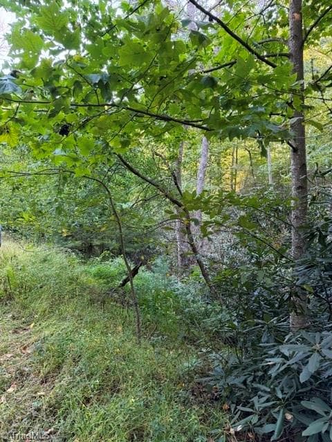 Unimproved Land at TBD Fishers Peak View, Ennice NC 28623, photo 8 of 25
