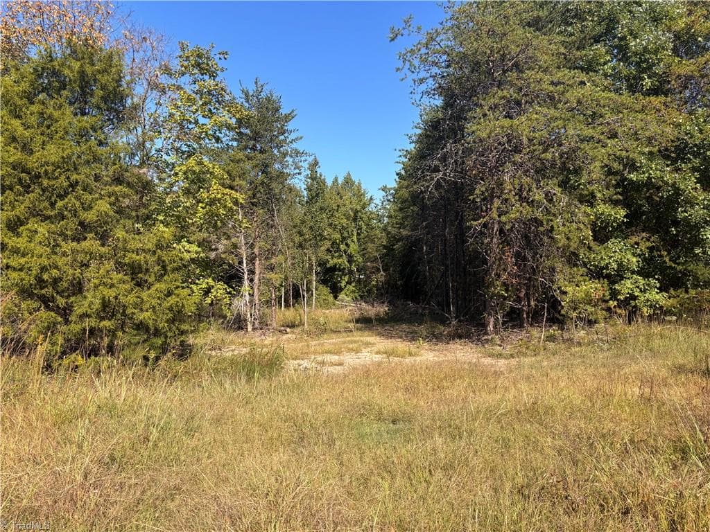 Single Family Residence at 103 Dalton Loop, Stoneville NC 27048, Stoneville, photo 5 of 8