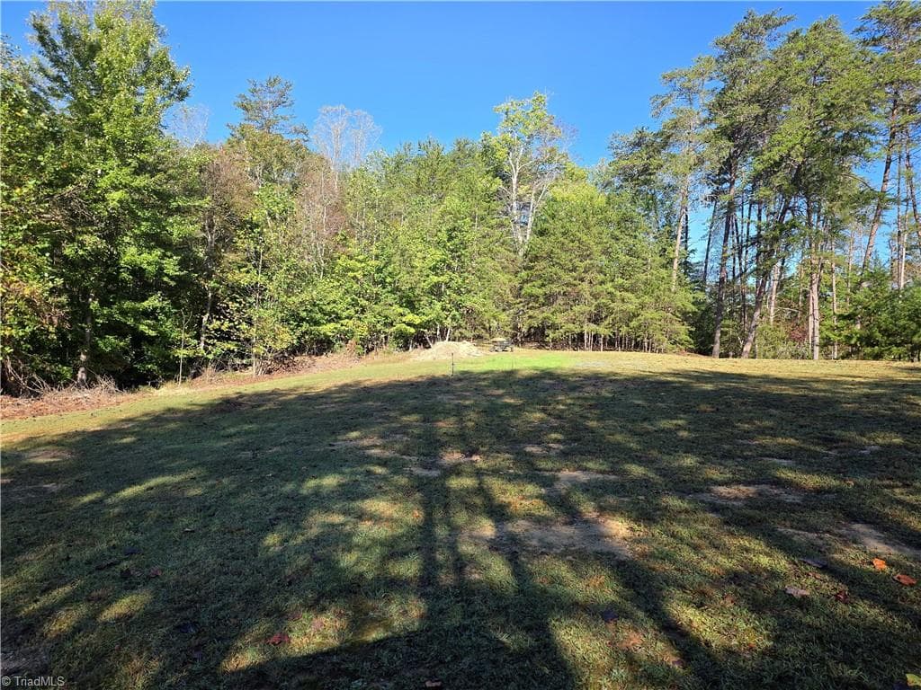 Unimproved Land at 1198 Jackson Road # 1, Westfield NC 27053, Westfield, photo 13 of 18