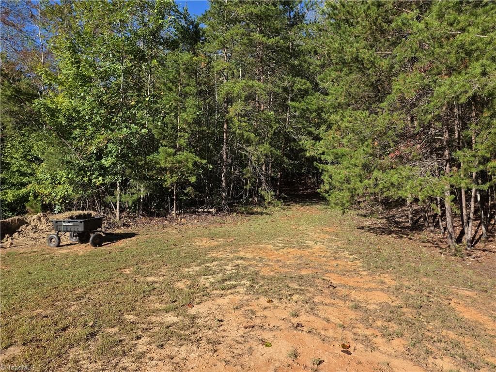 Unimproved Land at 1198 Jackson Road # 1, Westfield NC 27053, Westfield, photo 15 of 18
