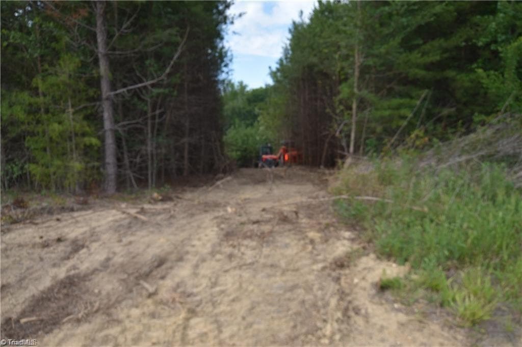 Unimproved Land at 1034 Paschal Road, Yanceyville NC 27379, Yanceyville, photo 3 of 4