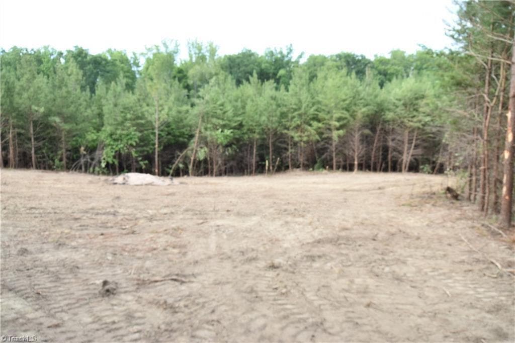 Unimproved Land at 1034 Paschal Road, Yanceyville NC 27379, Yanceyville, photo 4 of 4