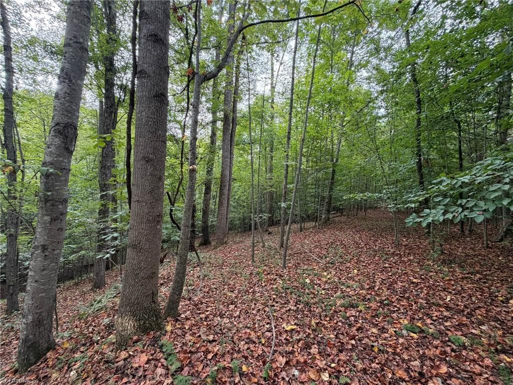 Single Family Residence at 6700 Lot 25+/- Acres Doral Drive, Tobaccoville NC 27050, Tobaccoville, photo 17 of 43