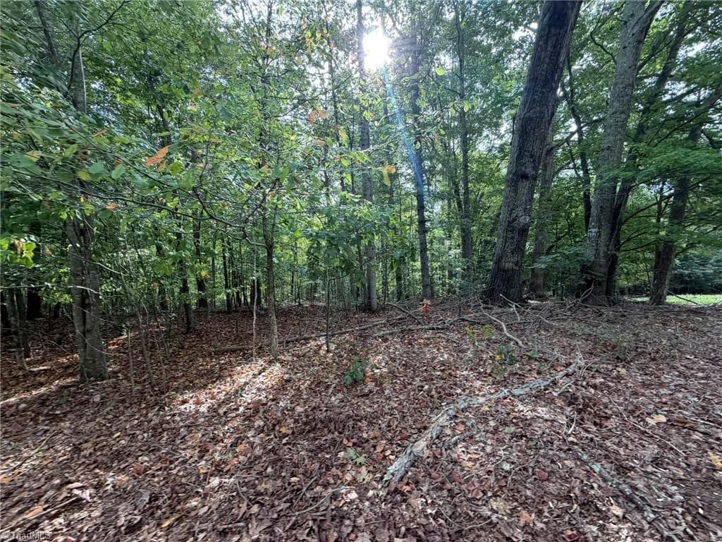 Single Family Residence at 6700 Lot 25+/- Acres Doral Drive, Tobaccoville NC 27050, Tobaccoville, photo 12 of 43