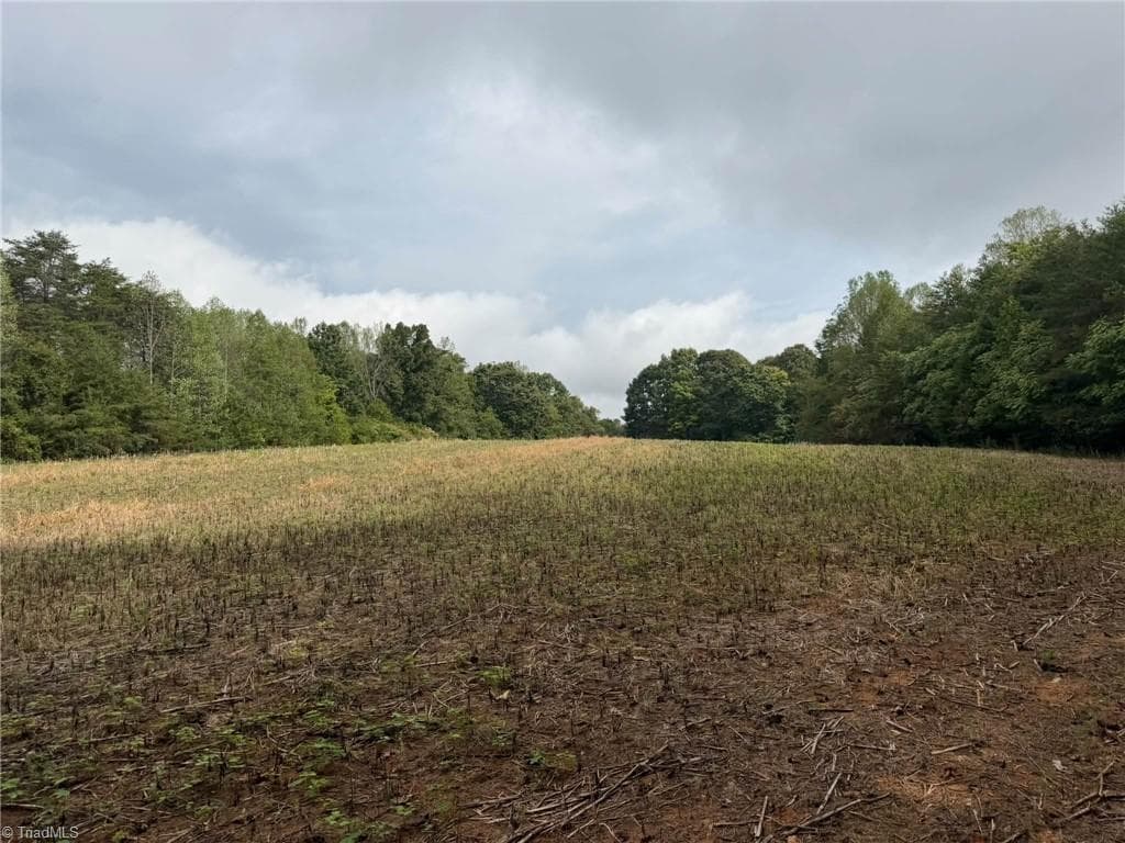 6700 Lot 25+/- Acres Doral Drive, Tobaccoville NC 27050