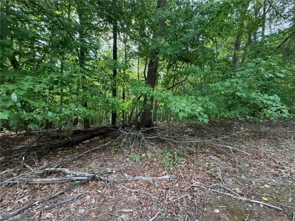Single Family Residence at 6700 Lot 25+/- Acres Doral Drive, Tobaccoville NC 27050, Tobaccoville, photo 24 of 43