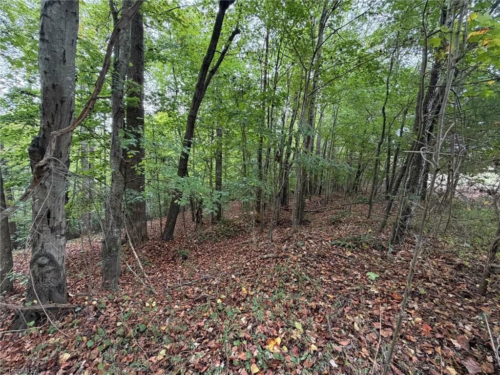 Single Family Residence at 6700 Lot 25+/- Acres Doral Drive, Tobaccoville NC 27050, Tobaccoville, photo 37 of 43