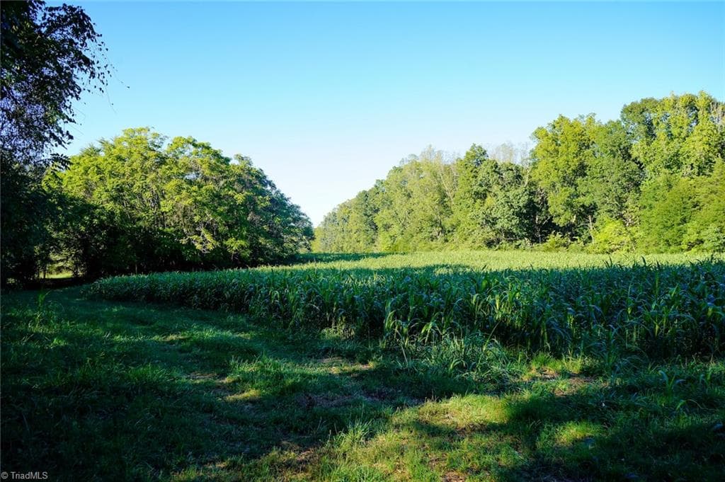 Unimproved Land at 61.8 Acres Spearman Road, Browns Summit NC 27320, photo 12 of 40