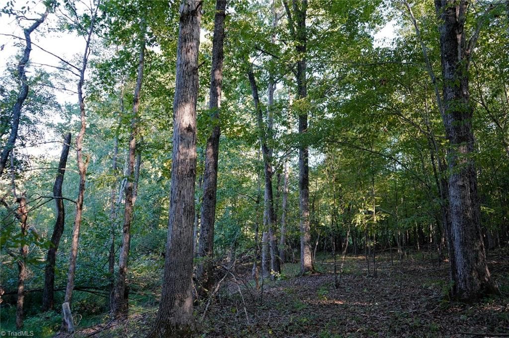 Unimproved Land at 61.8 Acres Spearman Road, Browns Summit NC 27320, photo 26 of 40