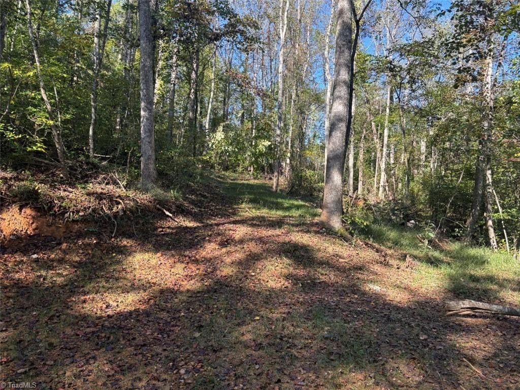Unimproved Land at 000 Quaker Road, Mount Airy NC 27030, Mount Airy, photo 2 of 5