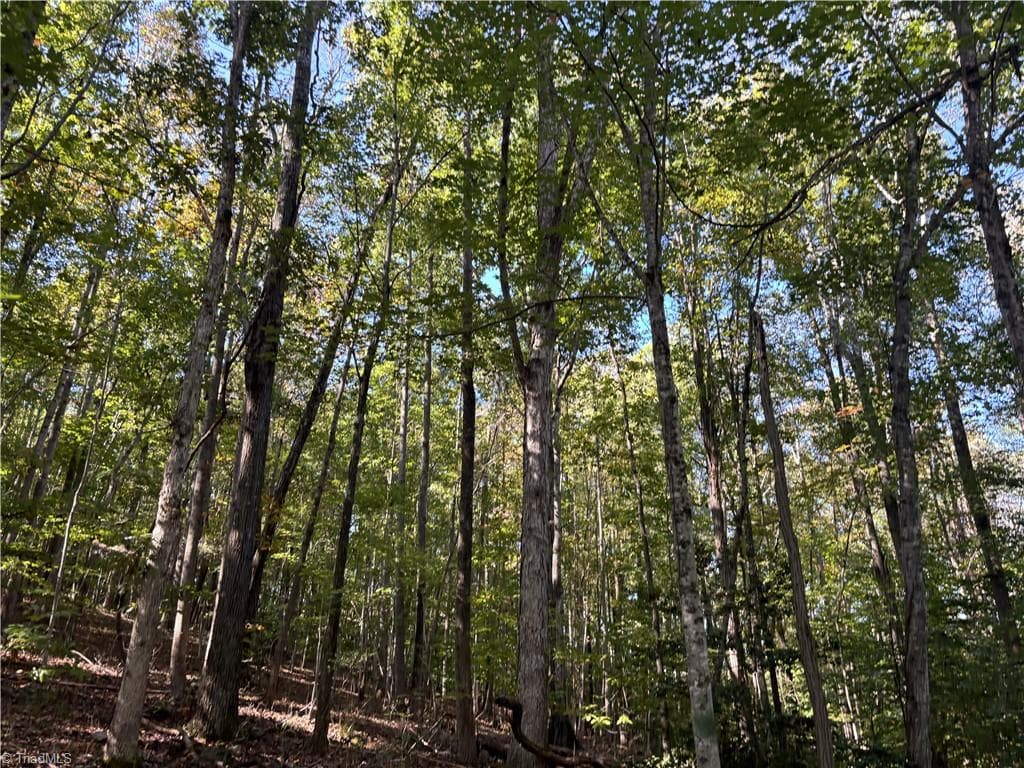 Unimproved Land at 000 Quaker Road, Mount Airy NC 27030, Mount Airy, photo 5 of 5