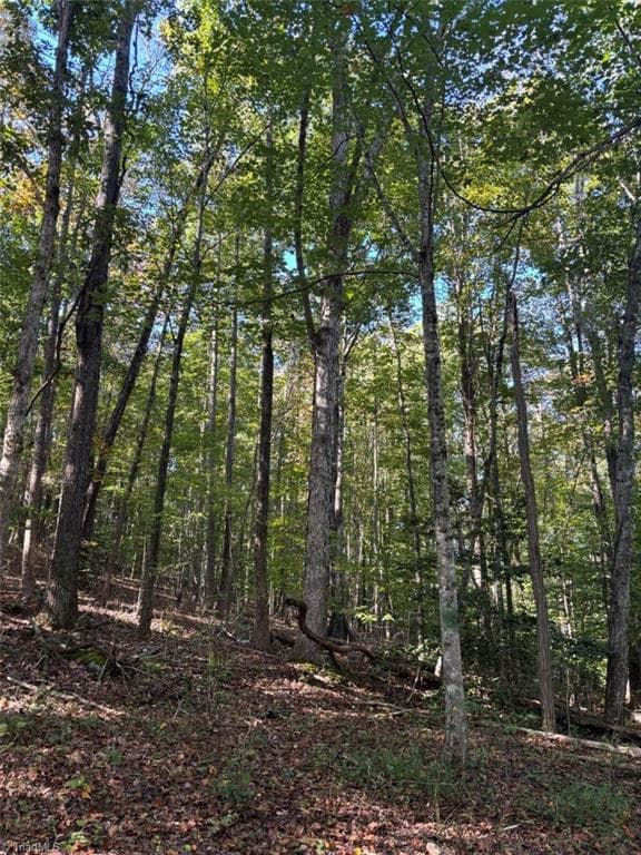 Unimproved Land at 000 Quaker Road, Mount Airy NC 27030, Mount Airy, photo 4 of 5