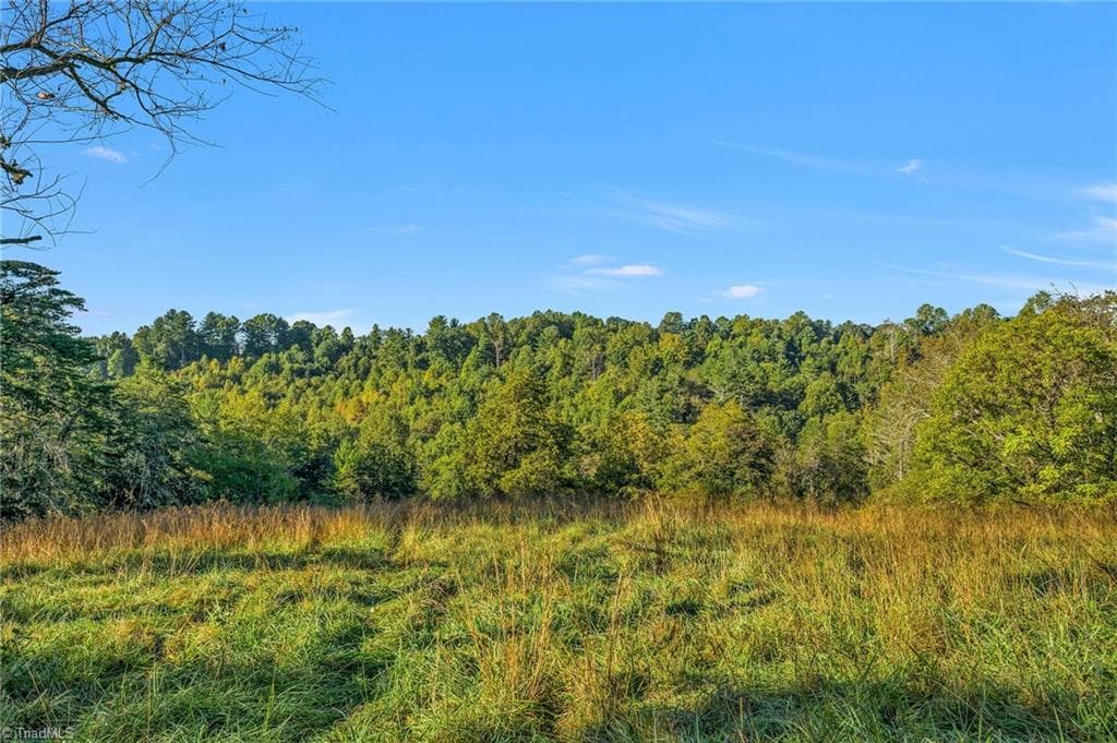 Agriculture at OFF Ruritan Park Road, North Wilkesboro NC 28659, North Wilkesboro, photo 6 of 26