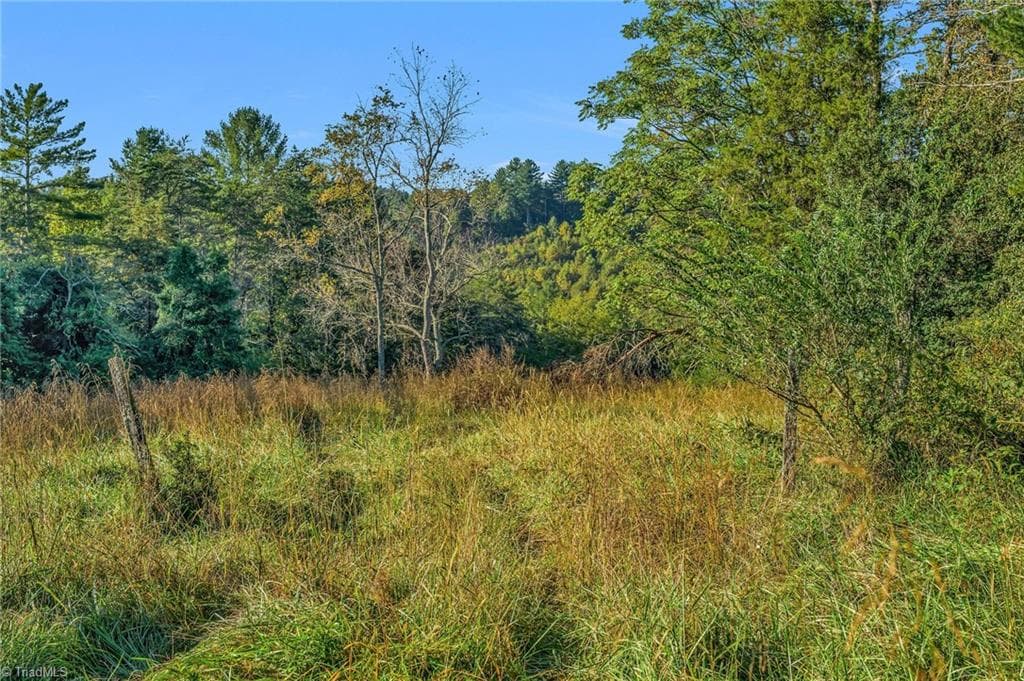 Agriculture at OFF Ruritan Park Road, North Wilkesboro NC 28659, North Wilkesboro, photo 16 of 26