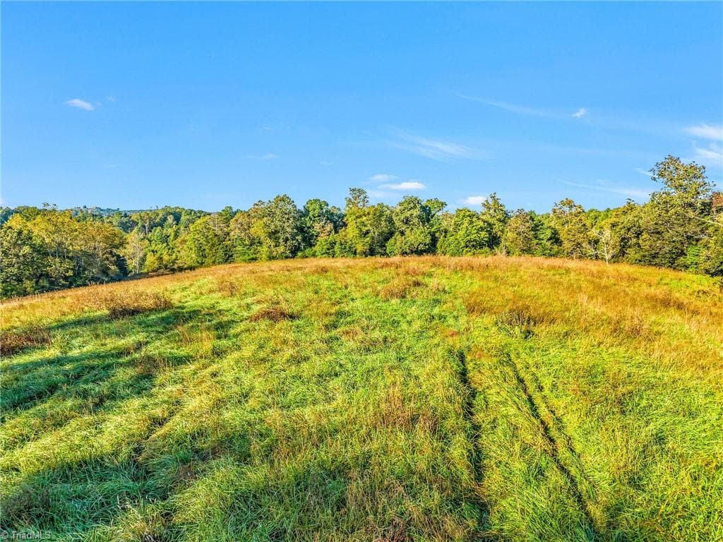Agriculture at OFF Ruritan Park Road, North Wilkesboro NC 28659, North Wilkesboro, photo 10 of 26