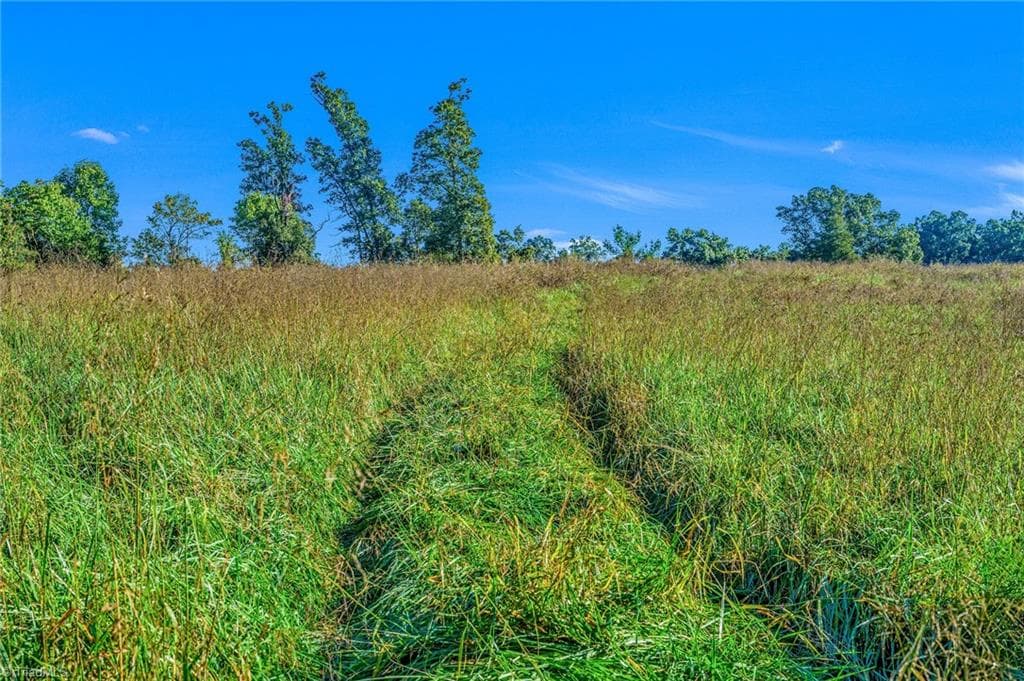 Agriculture at OFF Ruritan Park Road, North Wilkesboro NC 28659, North Wilkesboro, photo 15 of 26