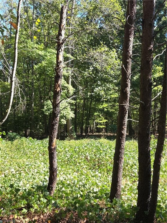 Remarks at 1075 Augusta Hicks Road, Walnut Cove NC 27052, Walnut Cove, photo 3 of 5