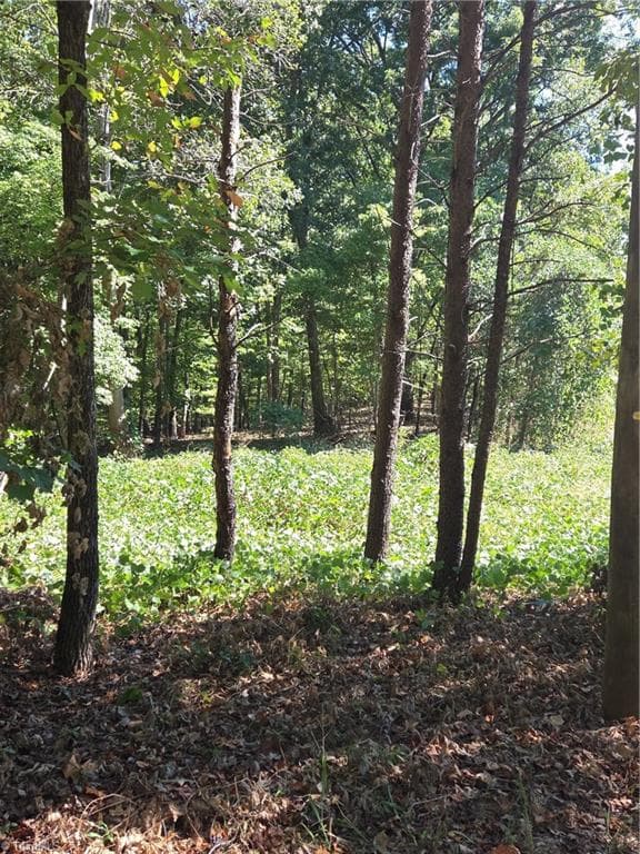 1075 Augusta Hicks Road, Walnut Cove NC 27052