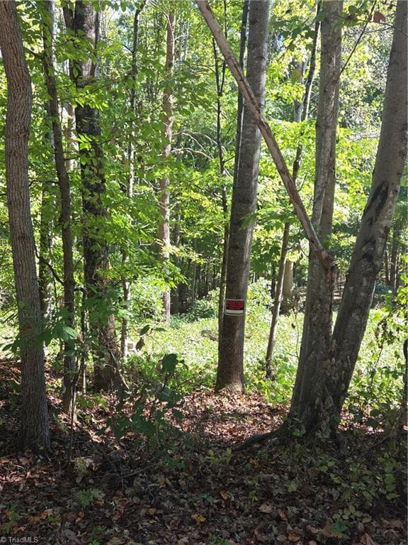 Remarks at 1075 Augusta Hicks Road, Walnut Cove NC 27052, Walnut Cove, photo 5 of 5