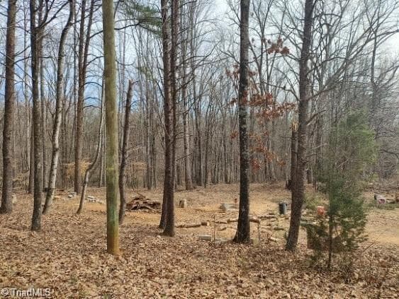 Remarks at 1075 Augusta Hicks Road, Walnut Cove NC 27052, Walnut Cove, photo 4 of 5
