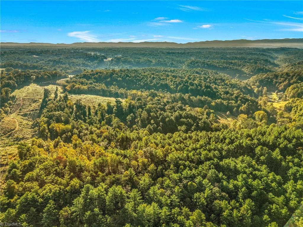 Agriculture at 0000 Ruritan Park Road, North Wilkesboro NC 28659, North Wilkesboro, photo 11 of 12
