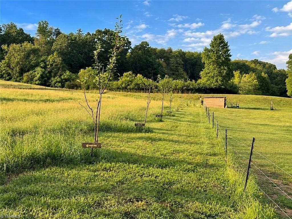 Stick/Site Built at 1935 Wall Loop Road, Walnut Cove NC 27052, Walnut Cove, photo 14 of 38