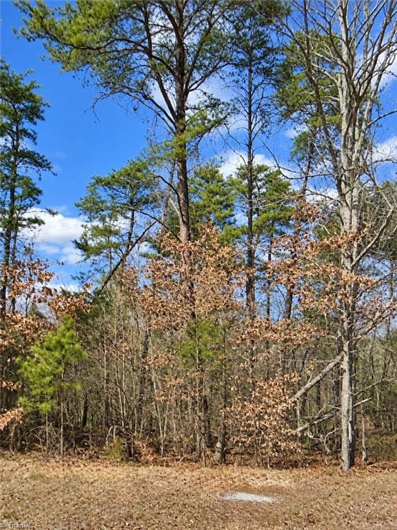 Unimproved Land at Lt 11 lynn smith Road, Semora NC 27343, Semora, photo 2 of 5